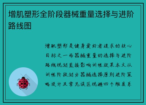 增肌塑形全阶段器械重量选择与进阶路线图